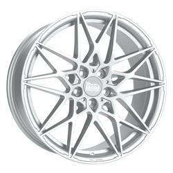 B2N SILVER PAINTED