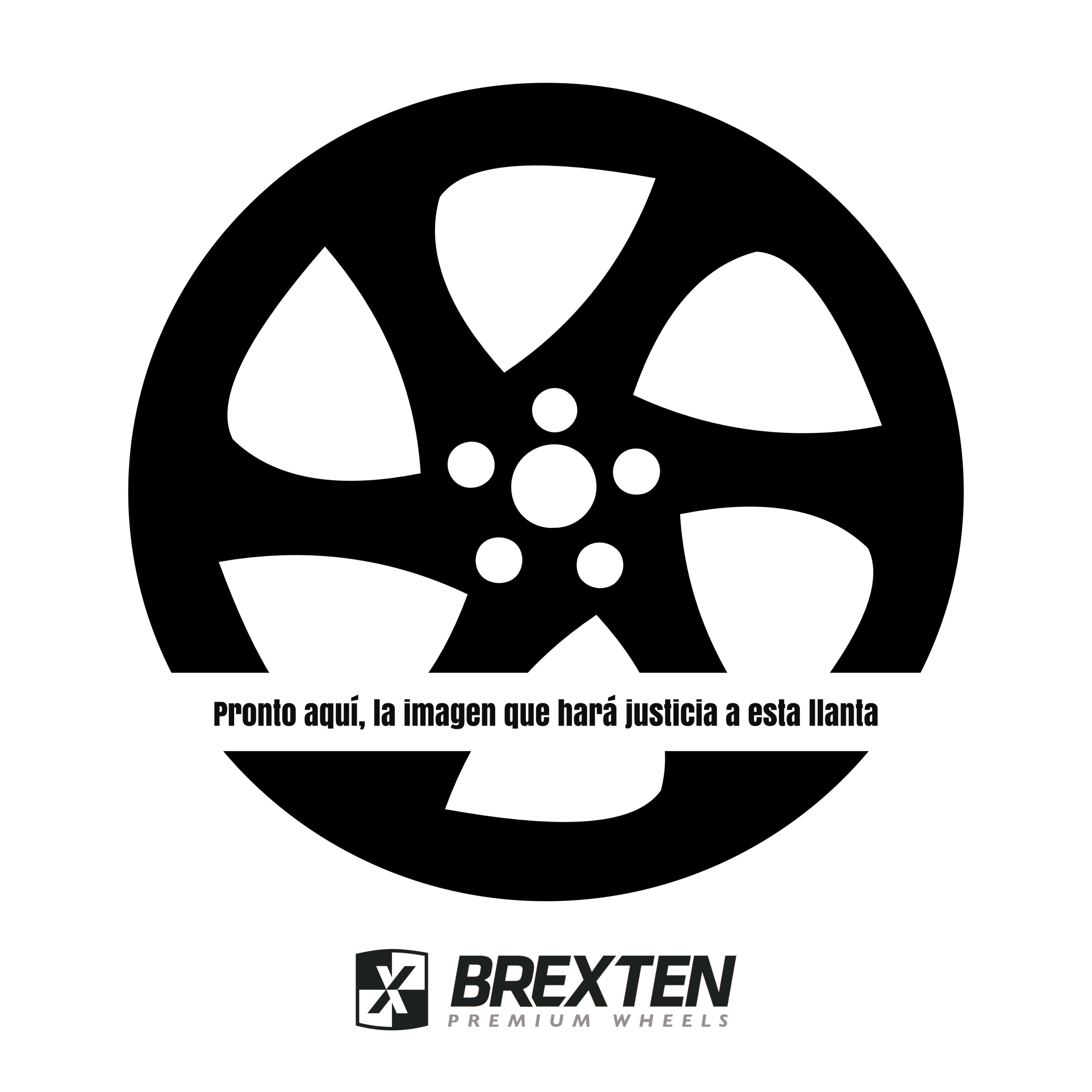 GTX black matt rim silver